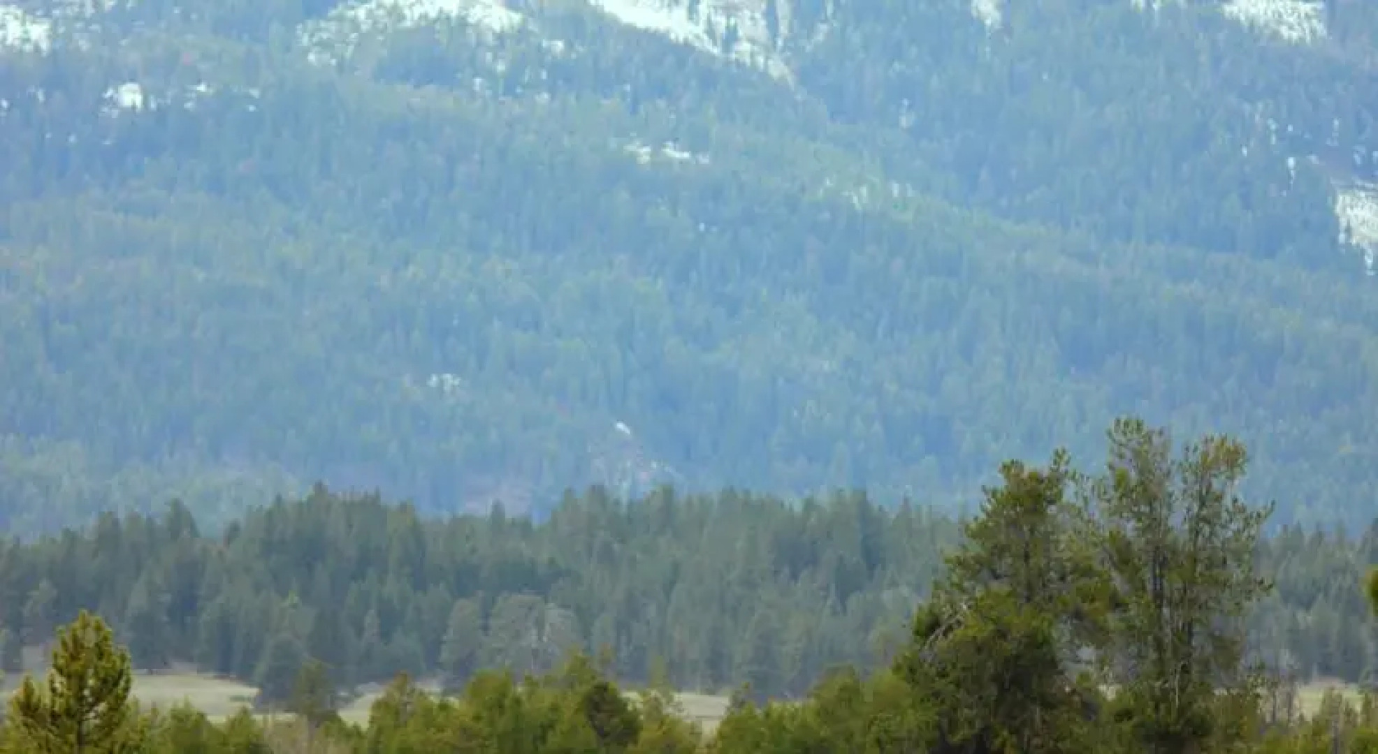 Island Ranch Vacation Retreat