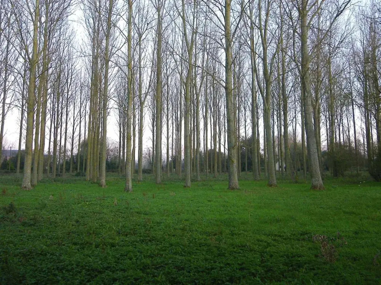Chambres d'Hotes - La Ferme De Tigny