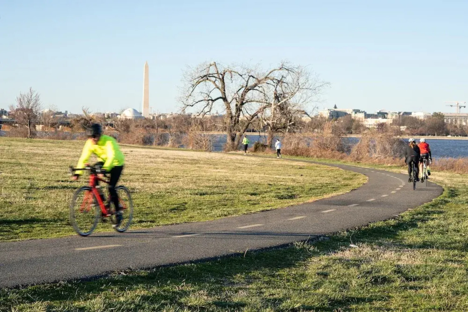 Kasa Alexandria Washington