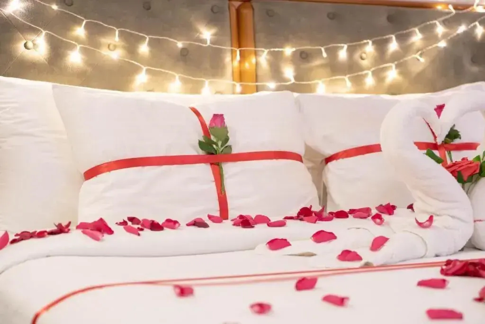 viola hotel Jazan