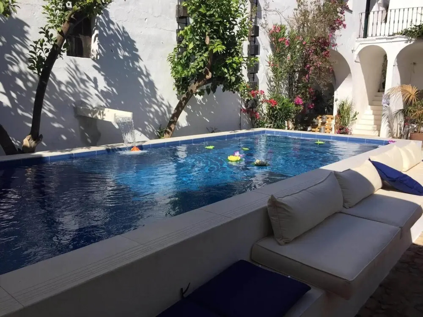 Pateo House - Casa Pereirinha in Vidigueira