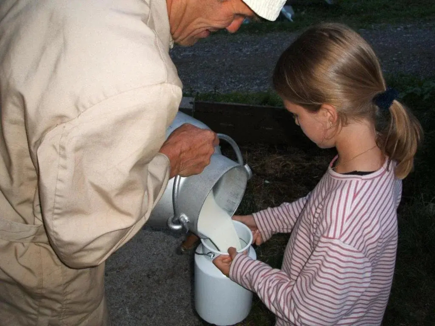 Ferienwohnungen am Berg - Almhütte Alfen