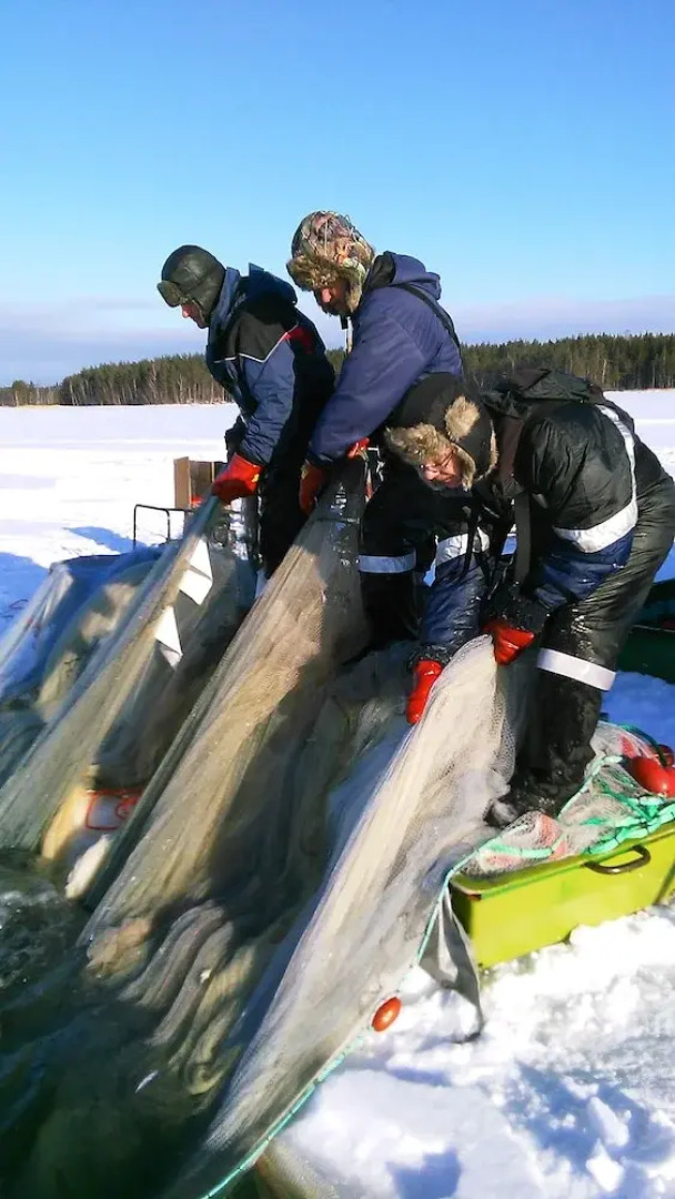 Karelia Country Cottages