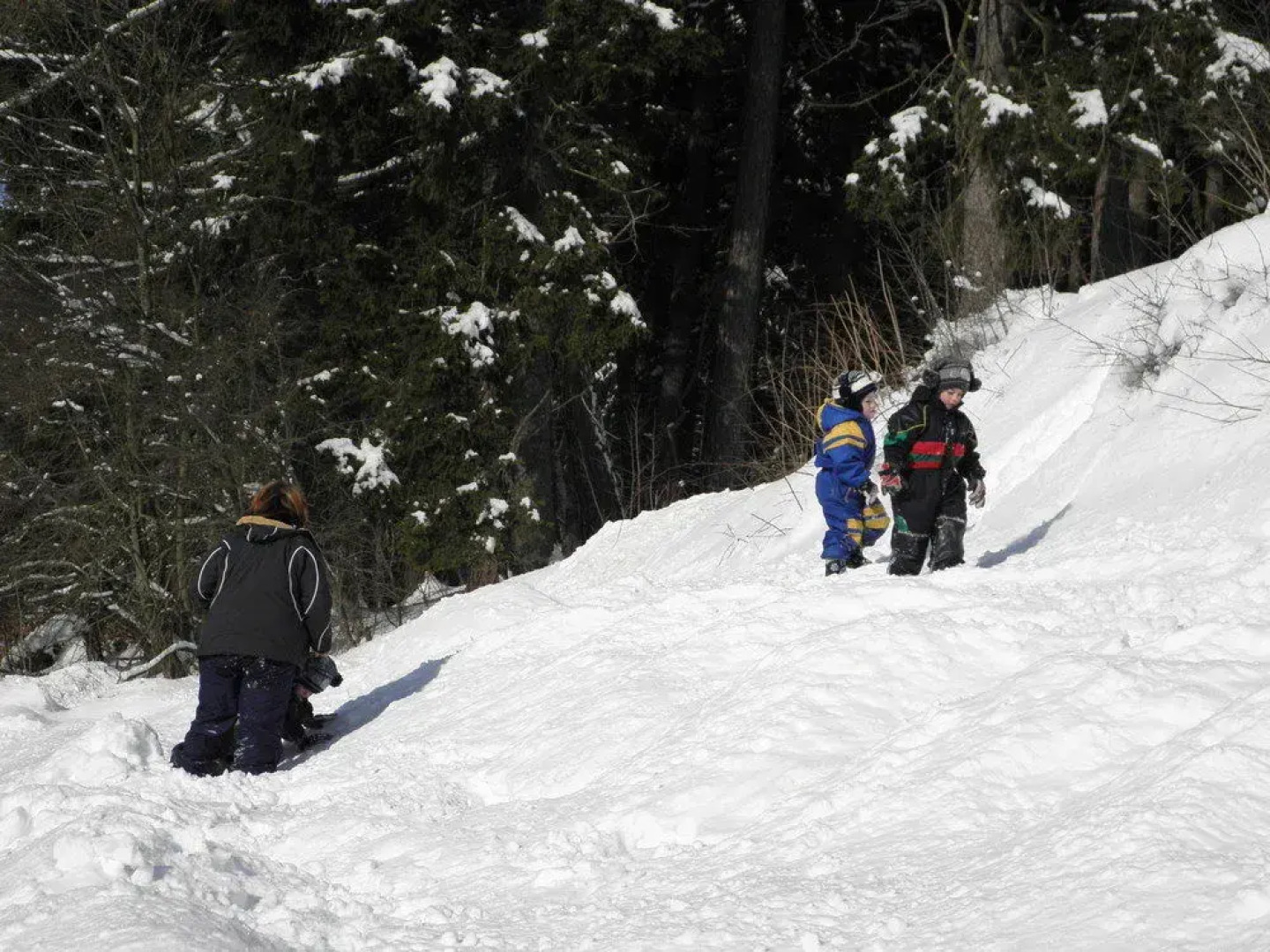 Wellness Hotel Kolštejn