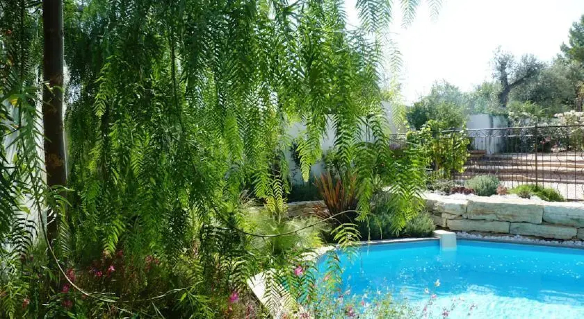 Domaine les Ecuries des Canutis