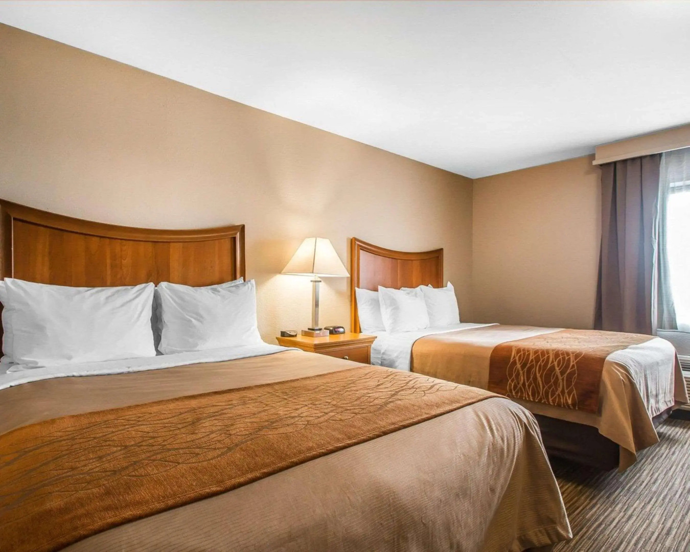 Comfort Inn South - Springfield