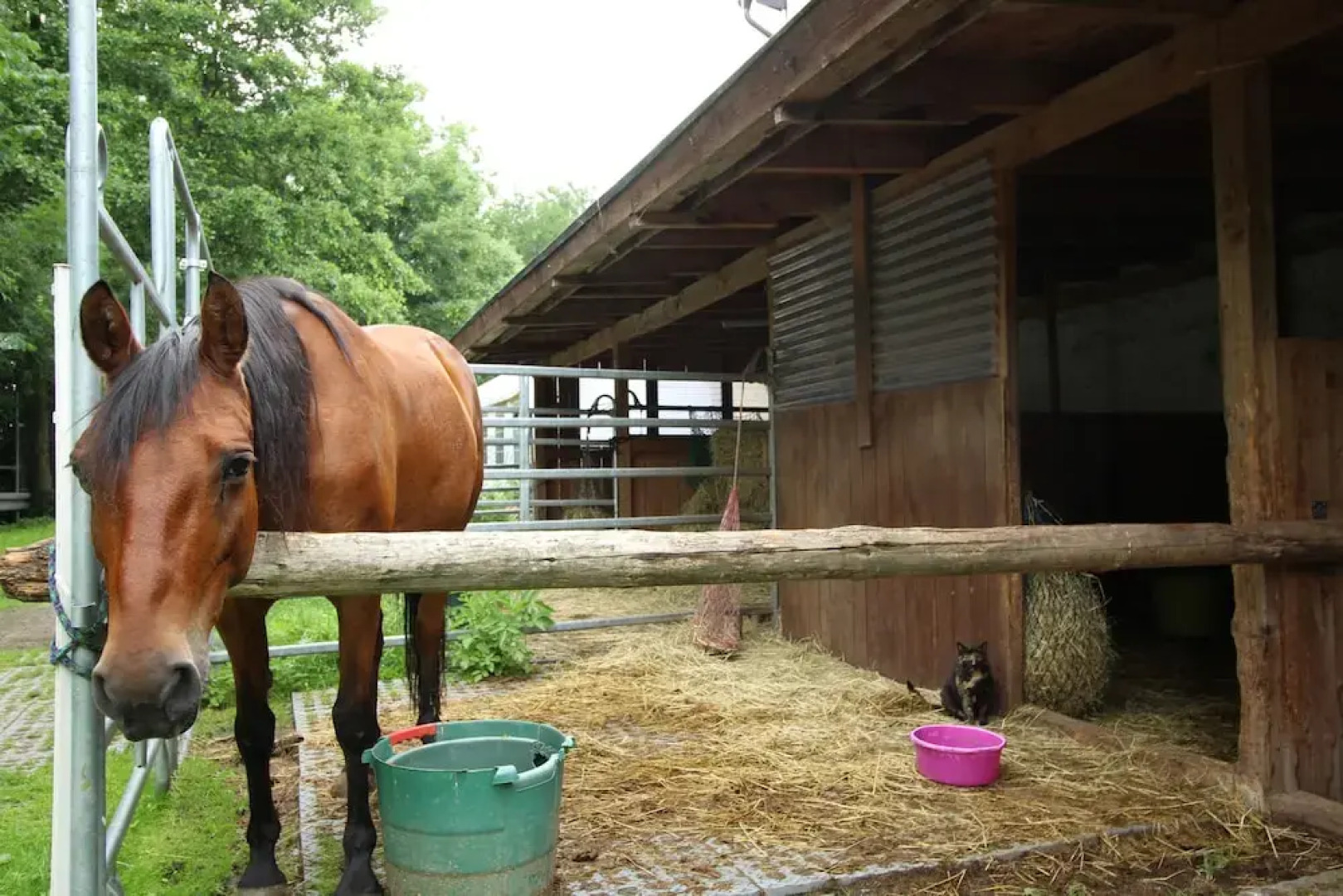 Ferienwohnung Ulrichstein/ Bobenhausen II