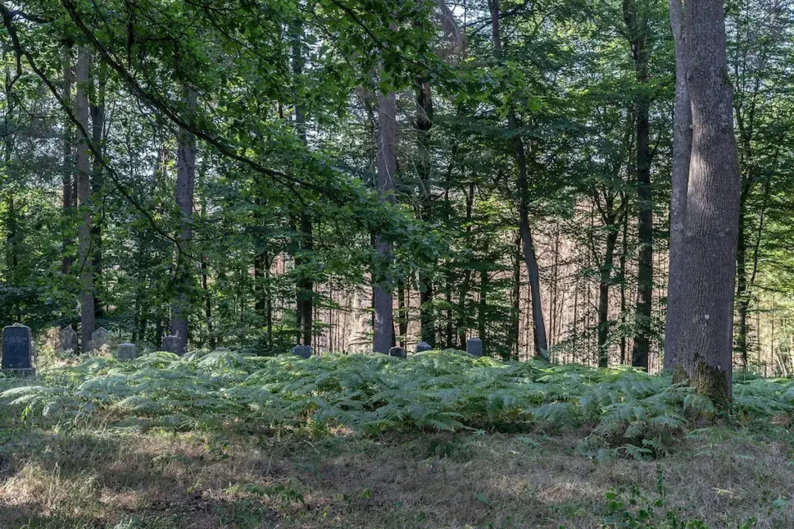 Отель Landgasthof zur Burg Grenzau