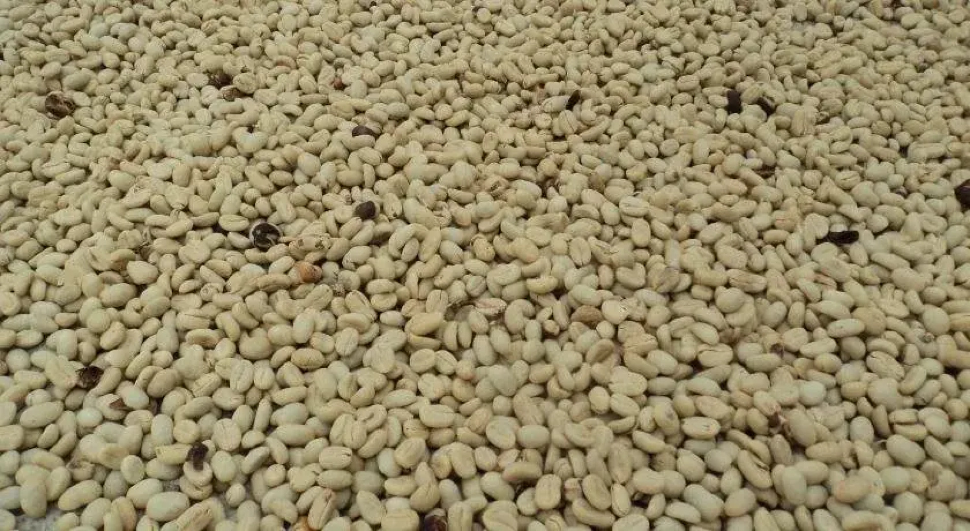 Hotel La Floresta Salento