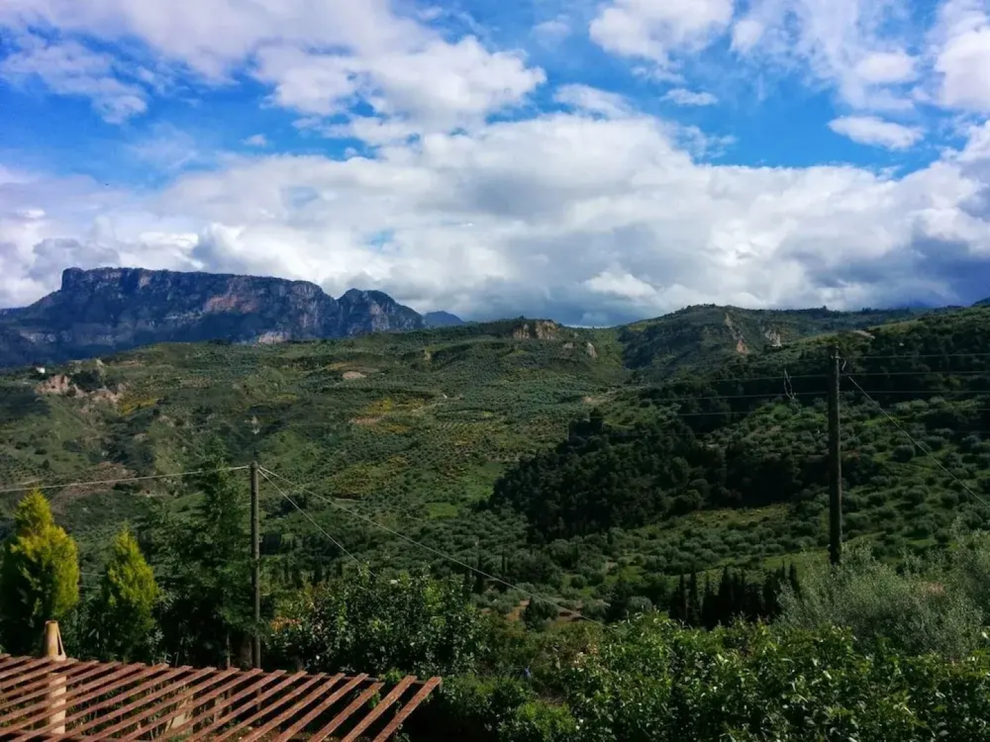 Ampelos Estate