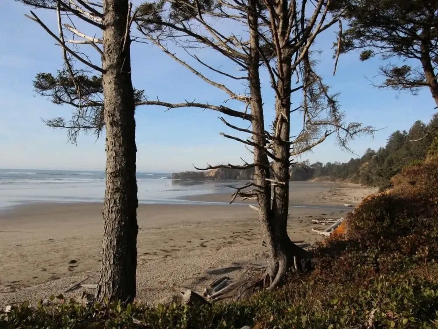 Alpine Chalet 4 Full Loft