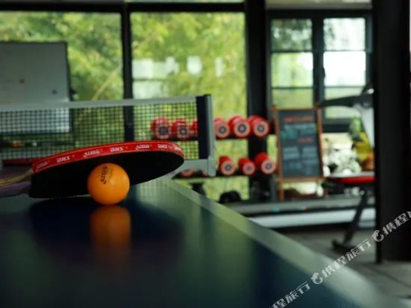 The Mountains of Life Inn