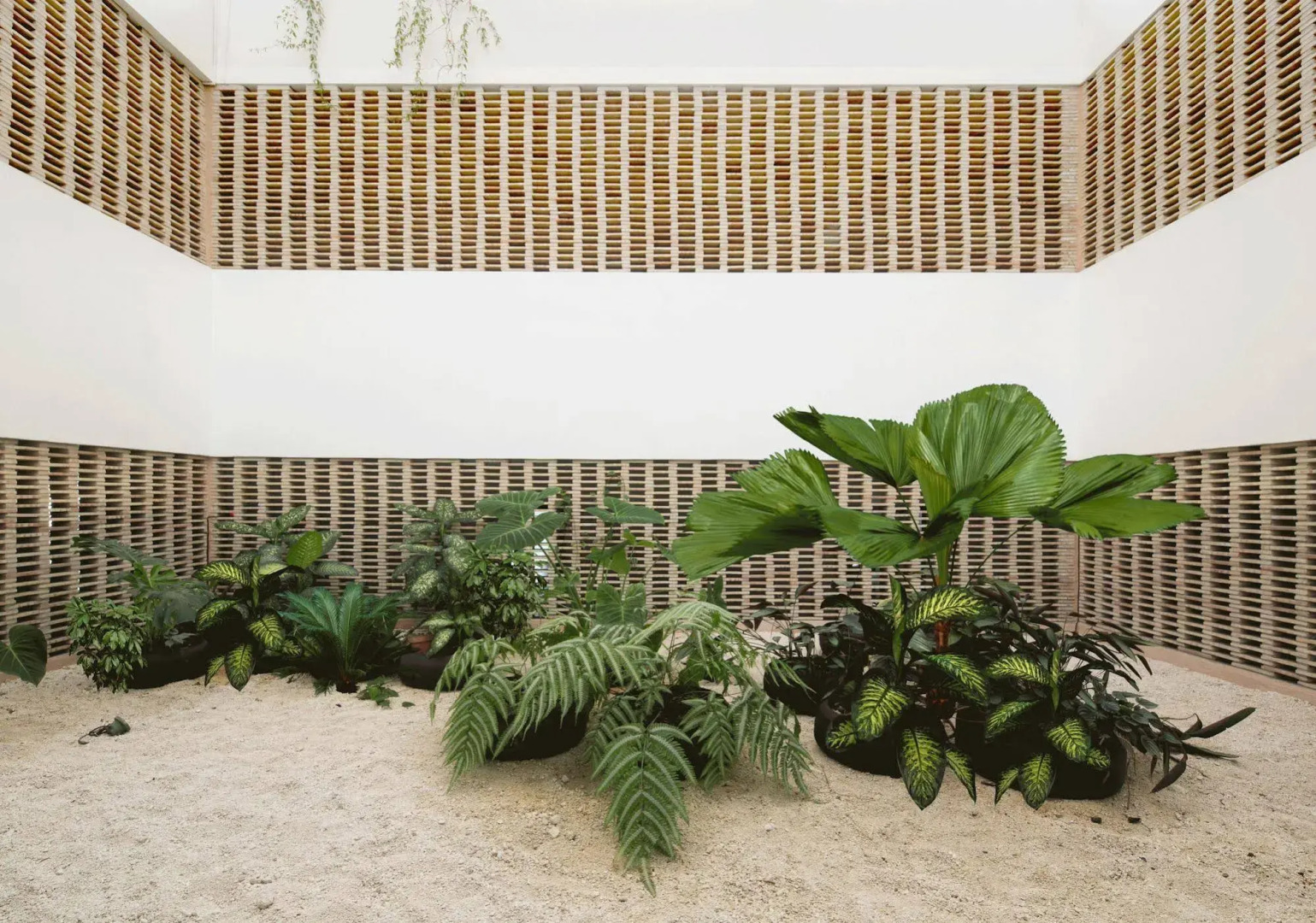 Lusitania Suites Orizaba