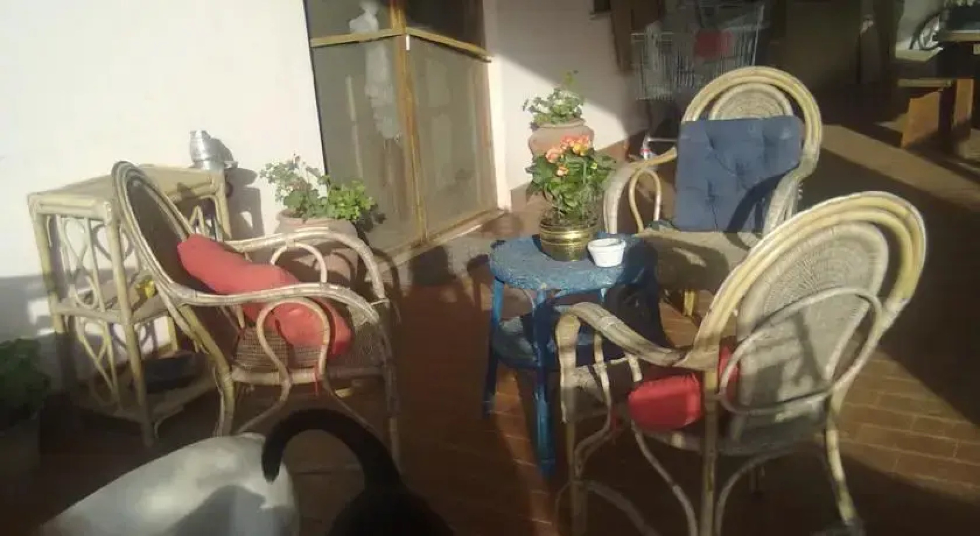 Affittacamere Sandra