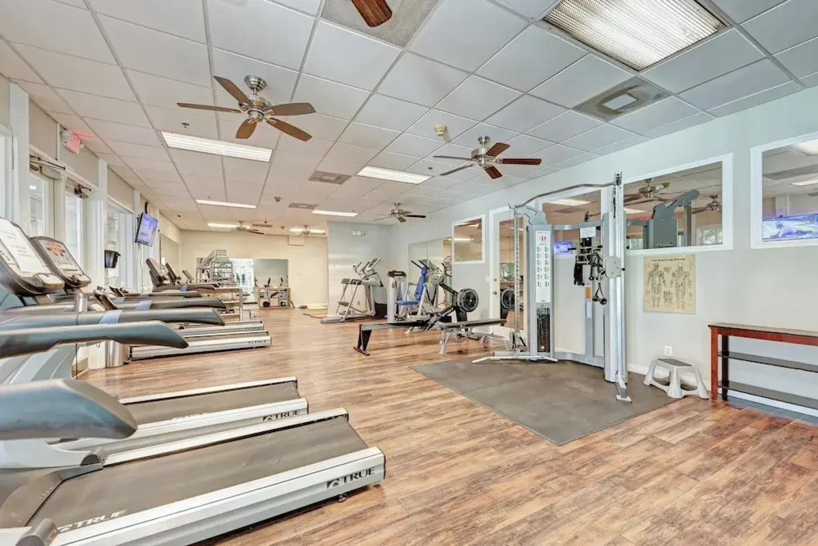 Longboat Key Cedars Beach House-pet Friendly-2 Minute To The Beach