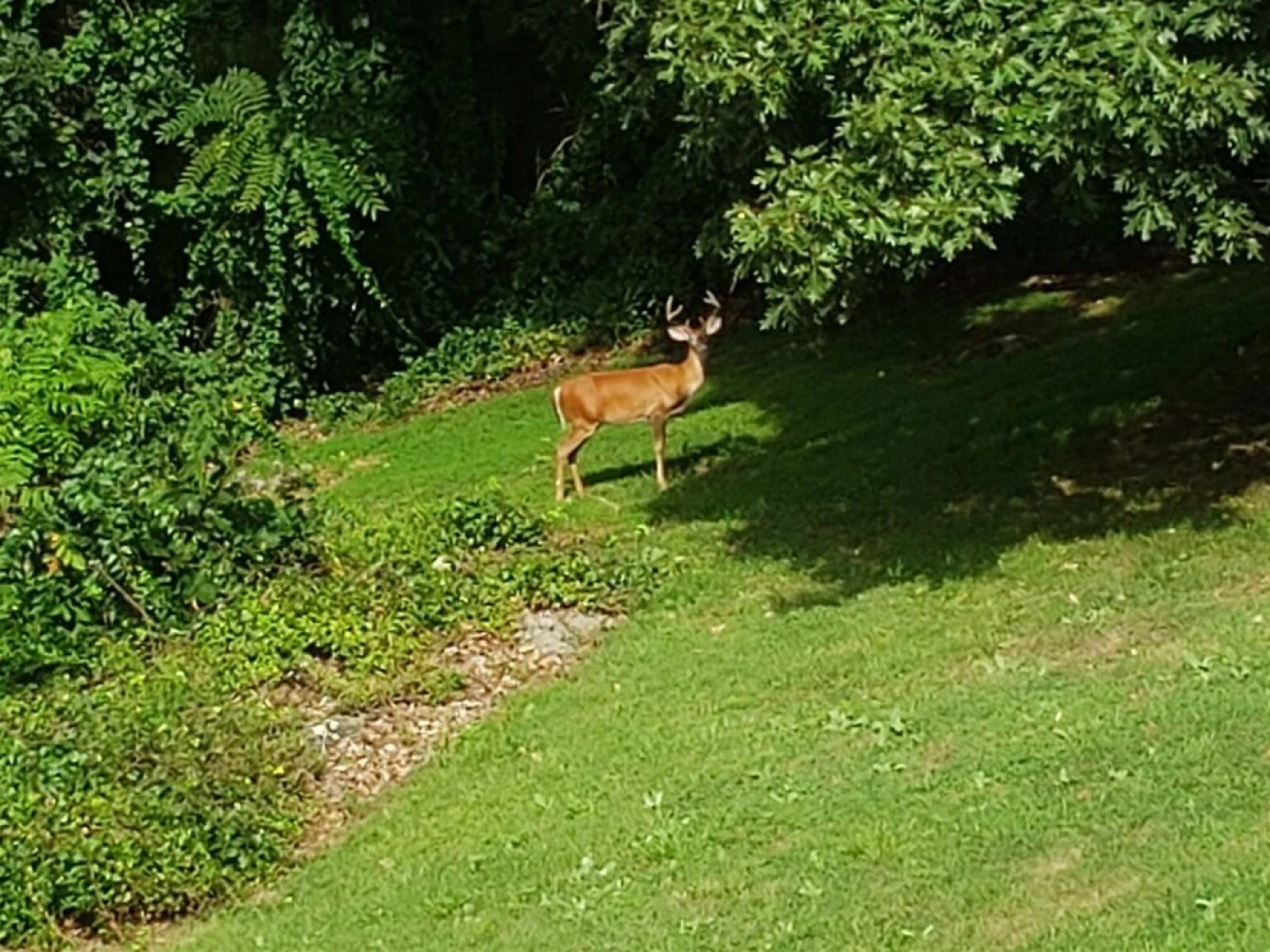 Mountain Top Retreat