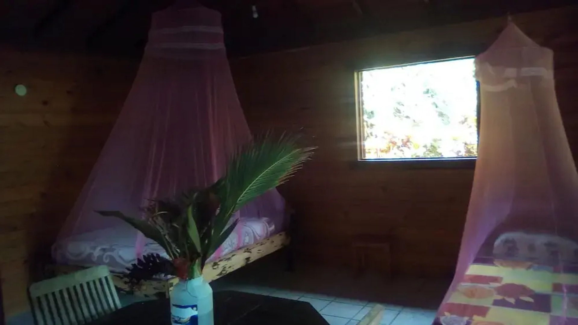 3 Rivers & Rosalie Forest Eco Lodge