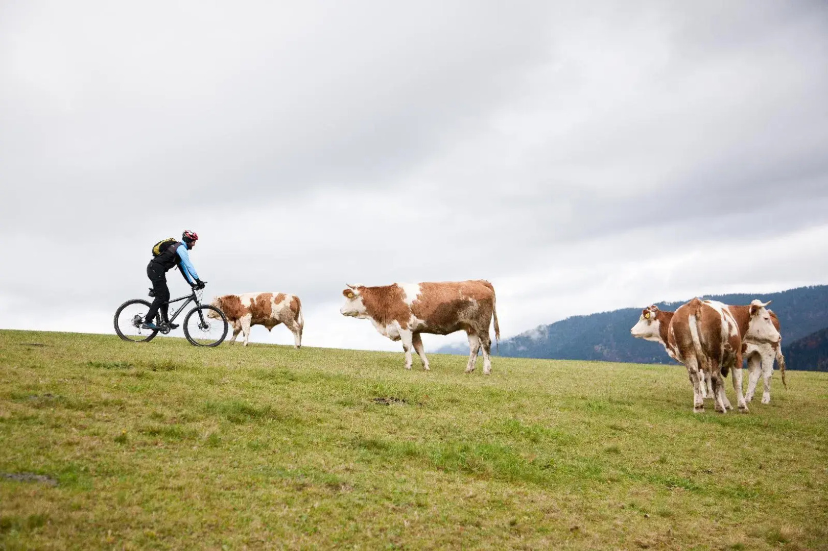 Camp Naturplac Na Skali