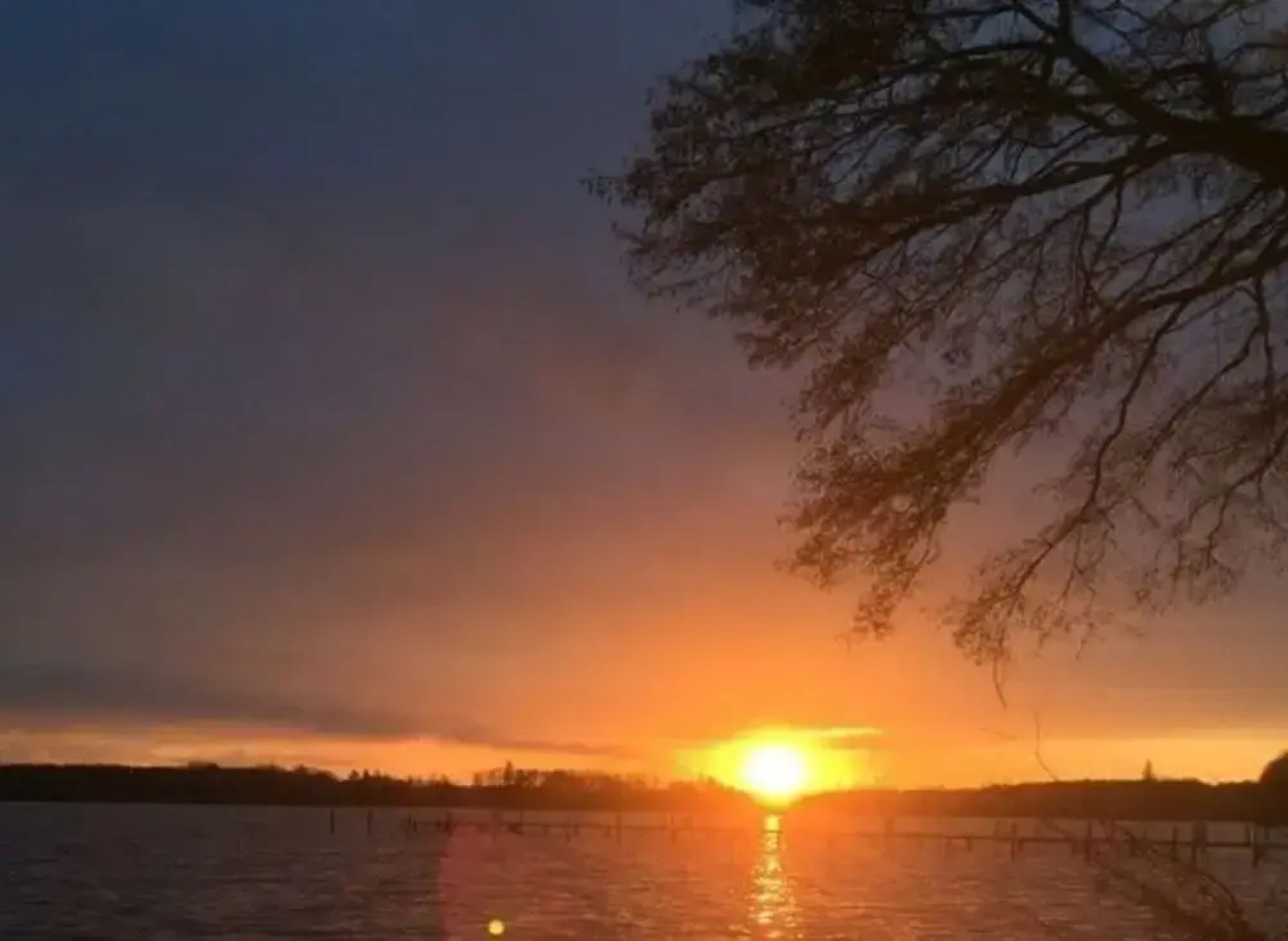 Bungalow Oberspreewald 2