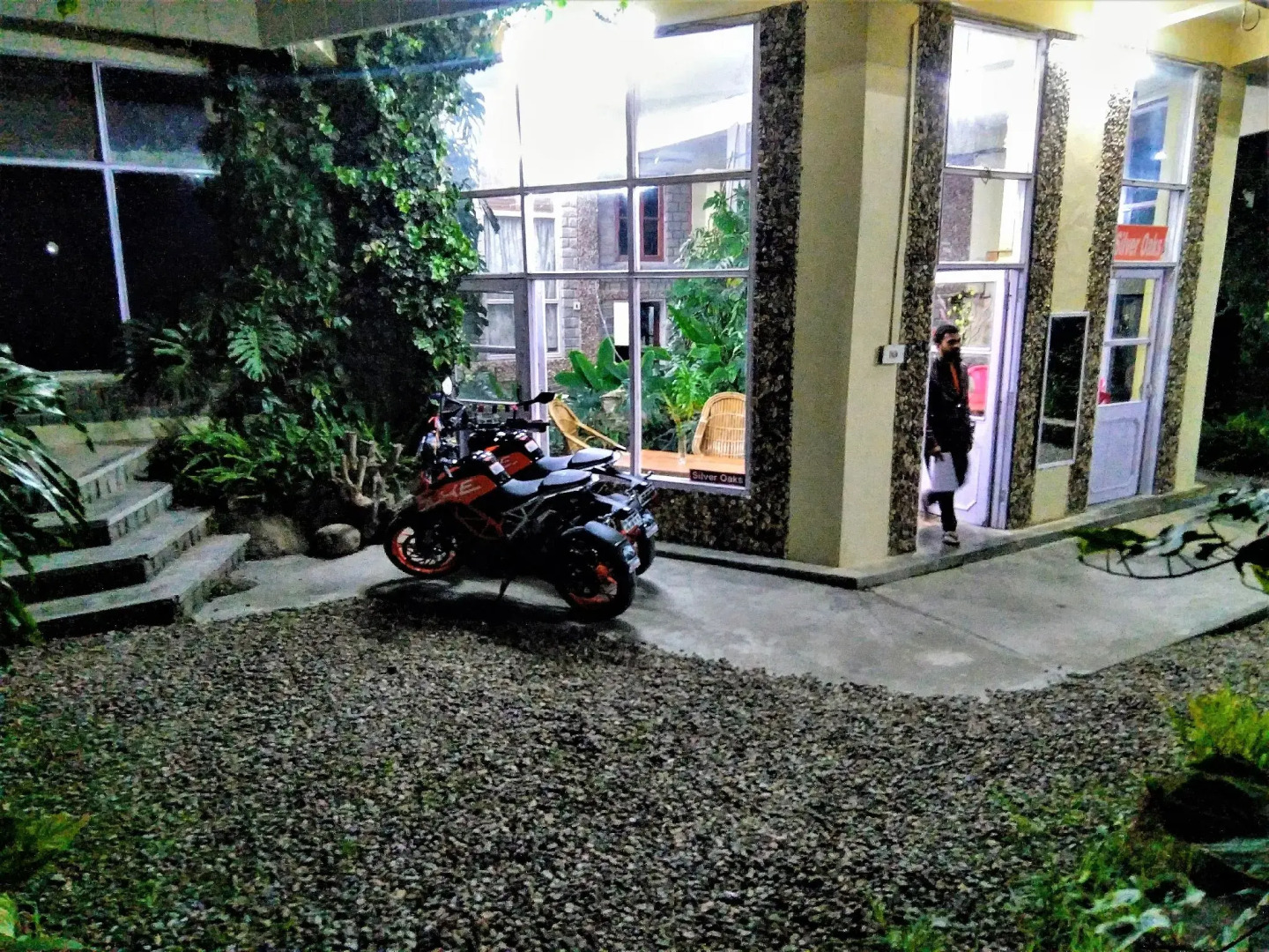 Little Mastiff Silver Oaks