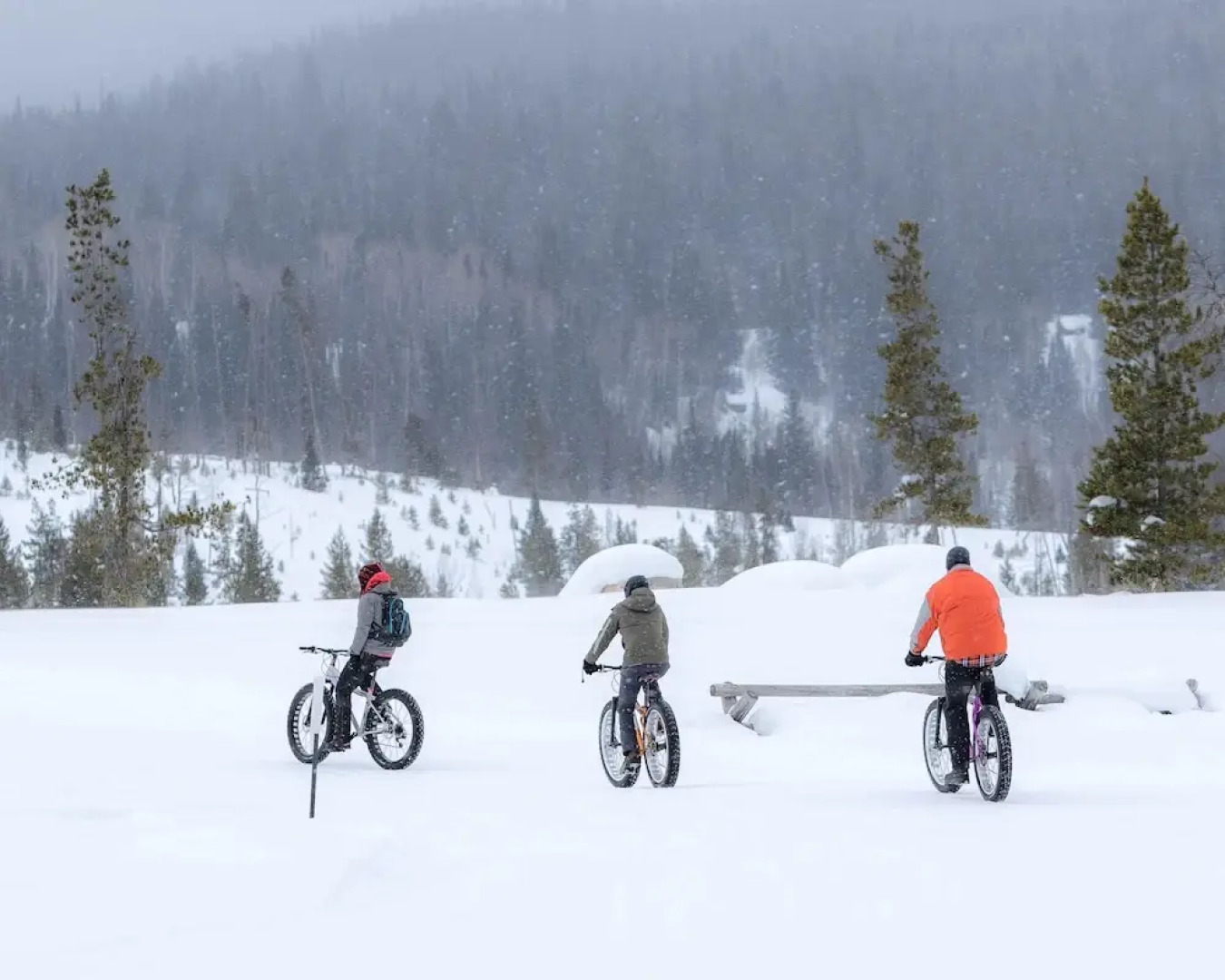 Vista Verde Ranch All-inclusive - Adults Only