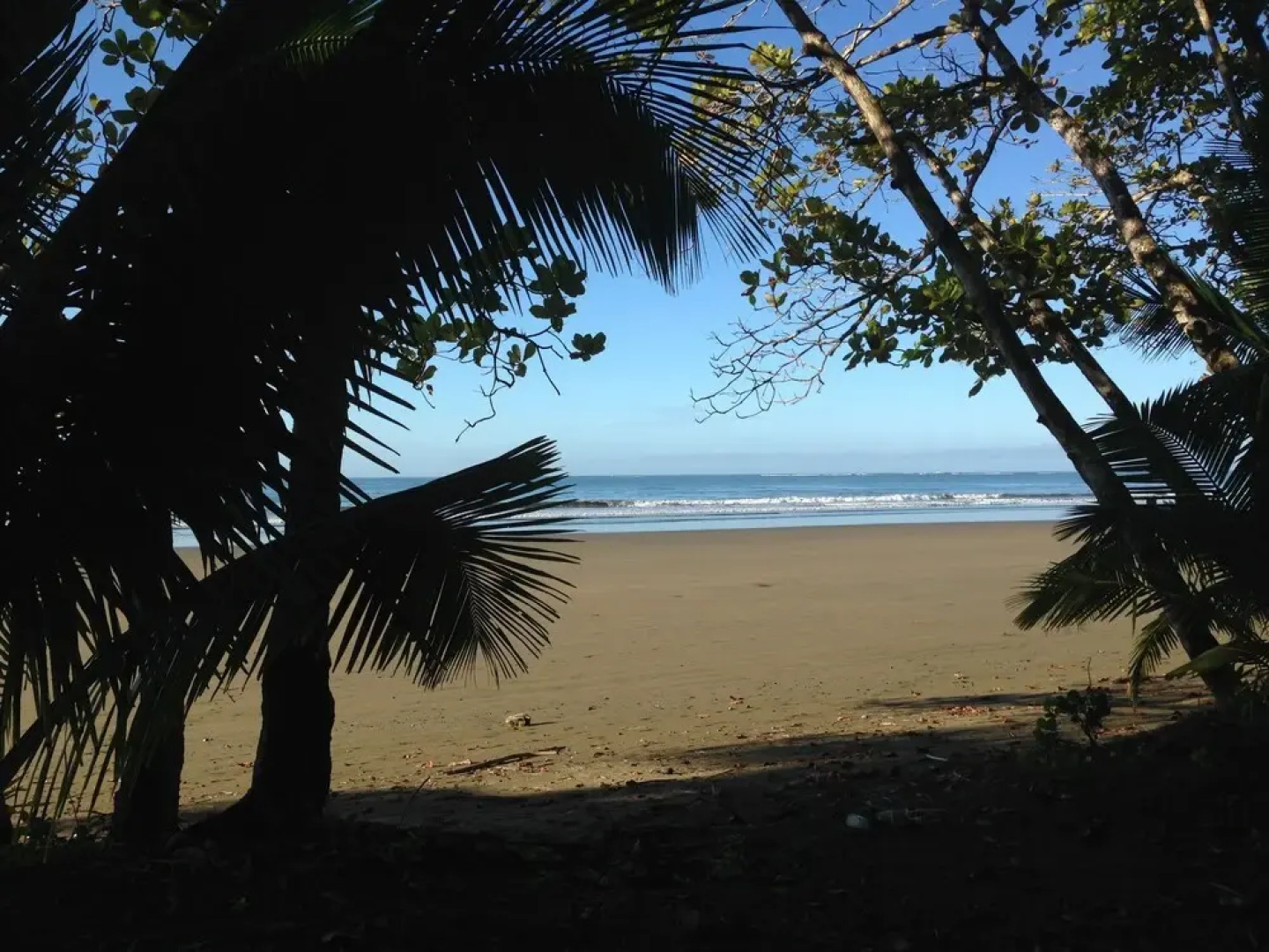 Uvita Oasis Retreat with Villa Cabins and Apartment