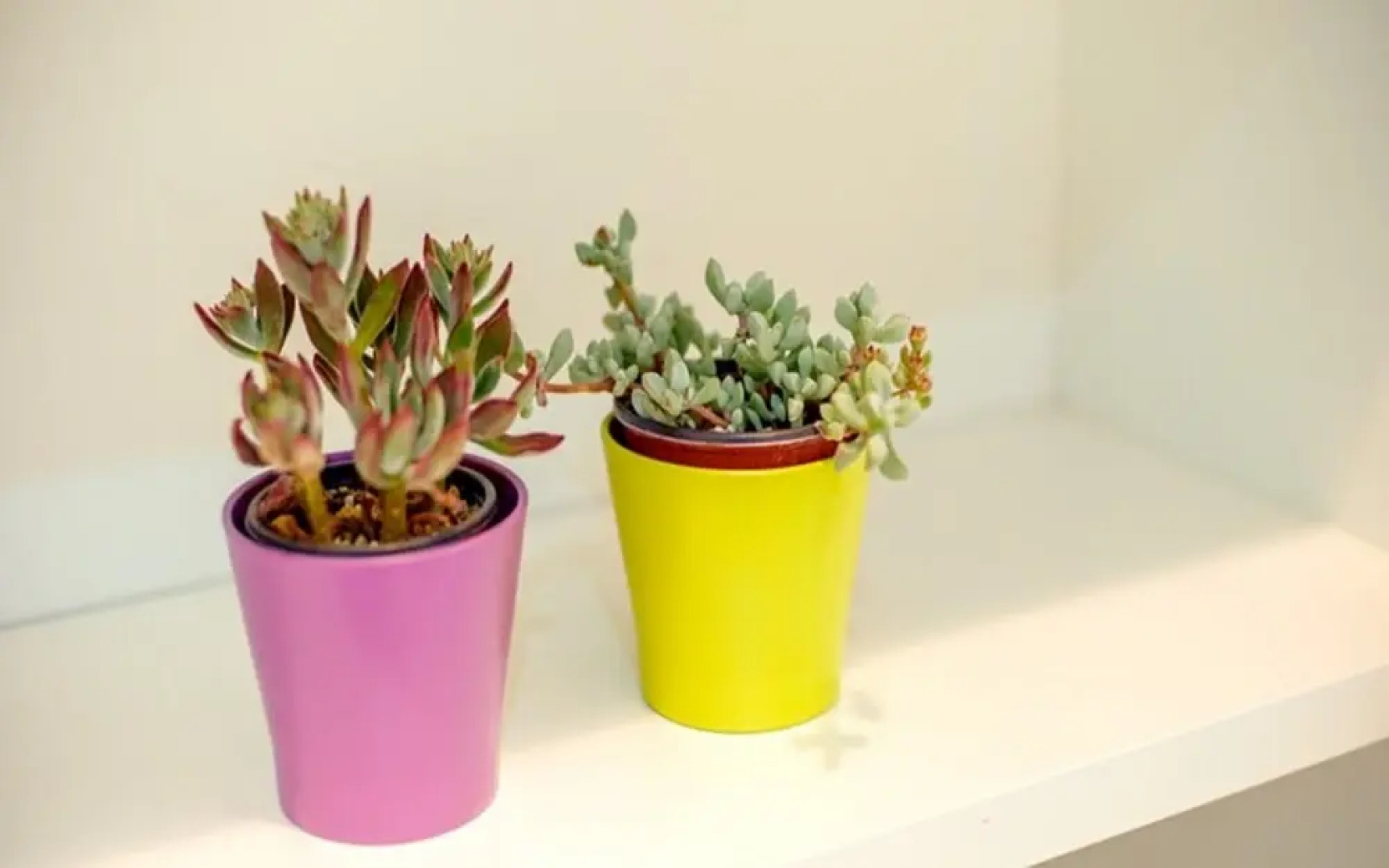 Yangpyeong 4hue House Pension