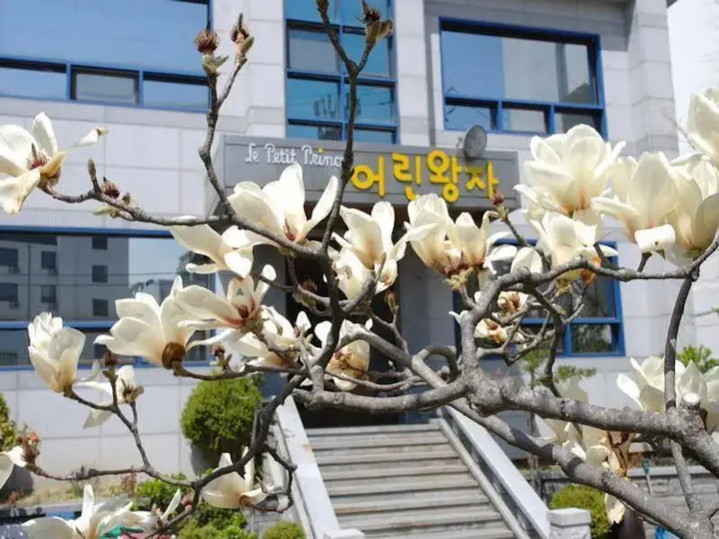 The little prince guesthouse