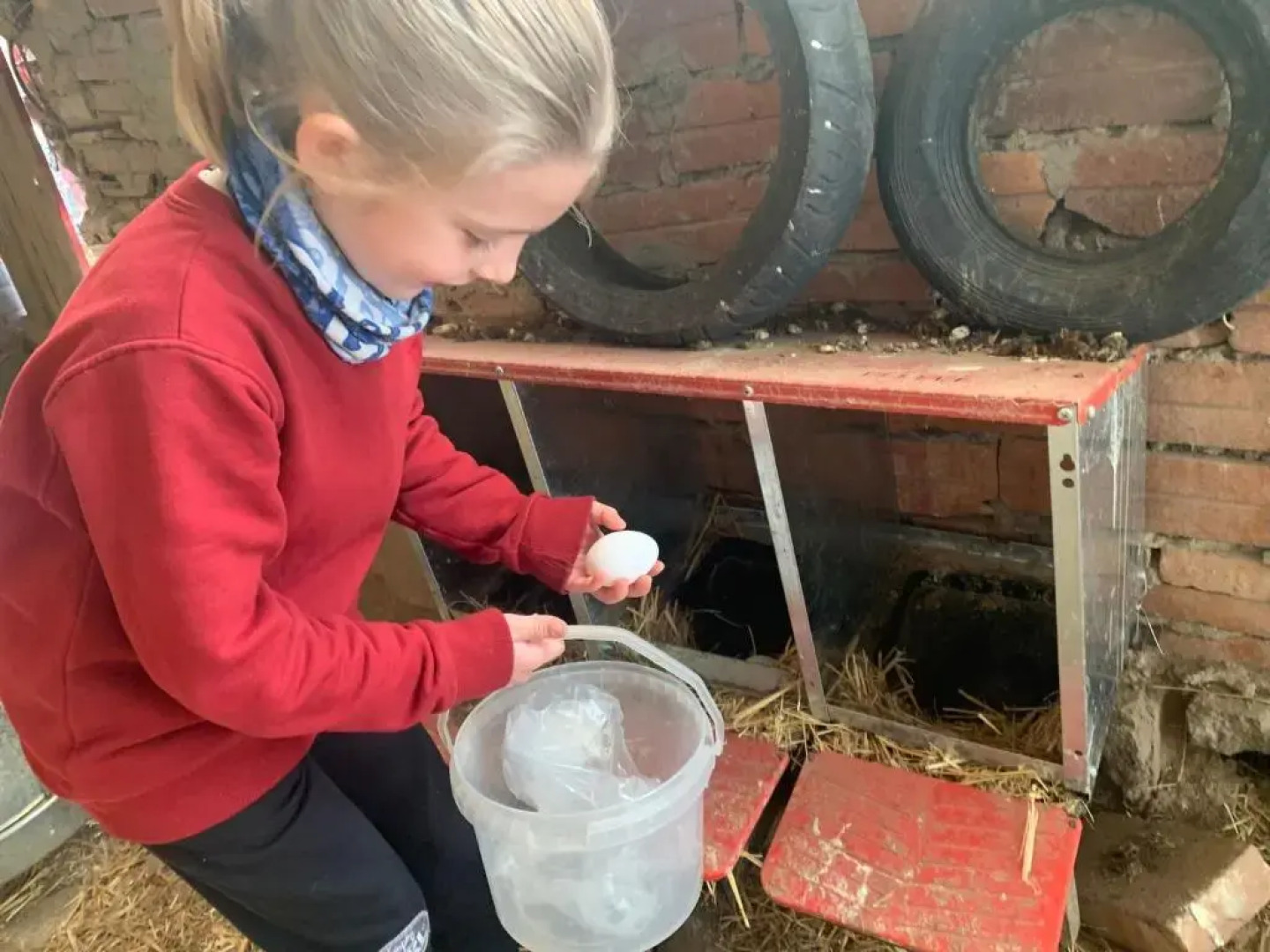 Apartament Rural Cal Xico Adrall -La Seu D'Urgell