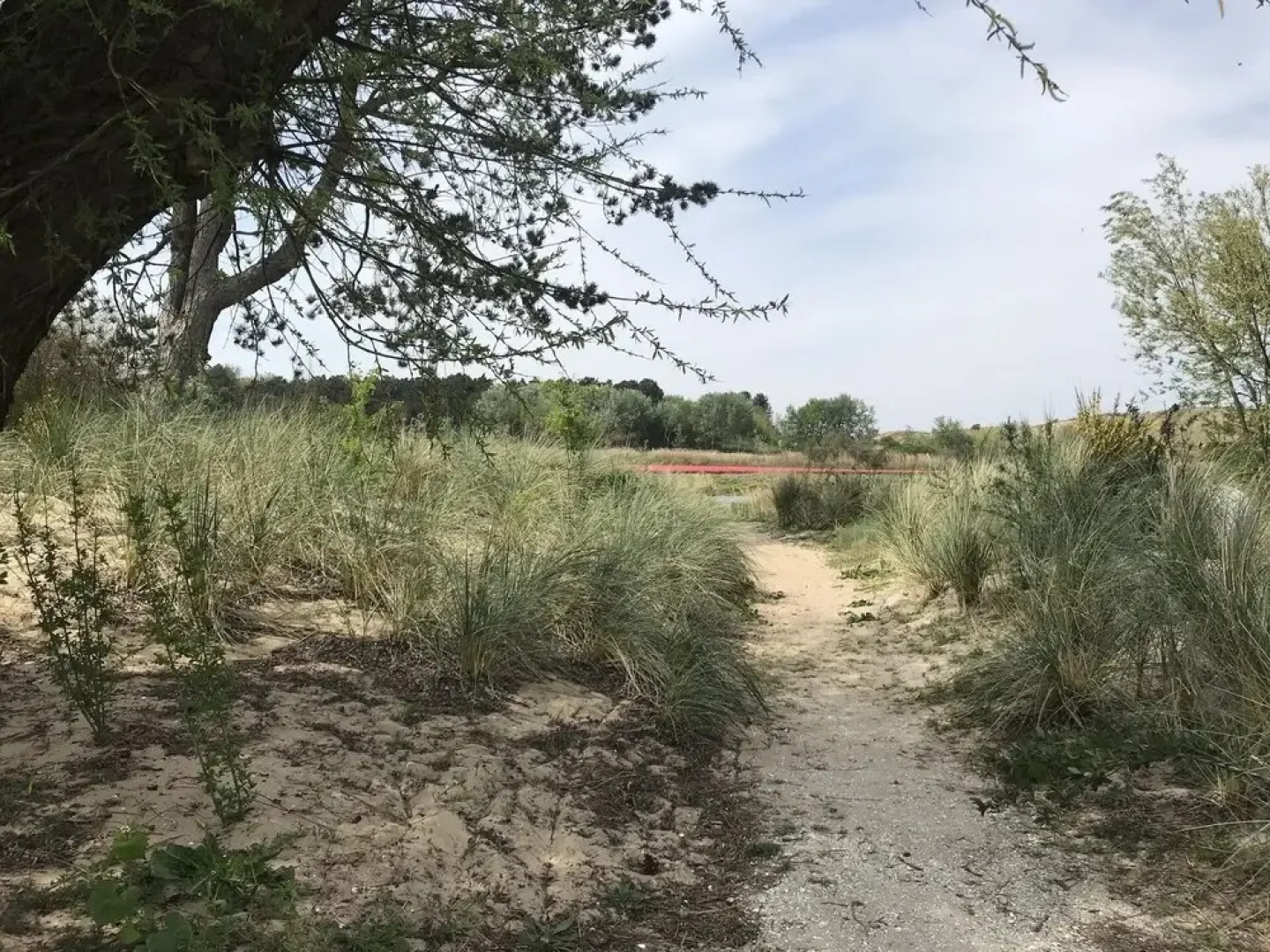 Impeccable 4-bed House in Castricum Butterfly