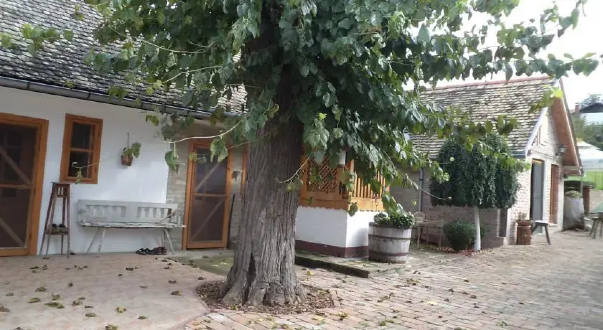 Country House Pod dudom Aljmaš