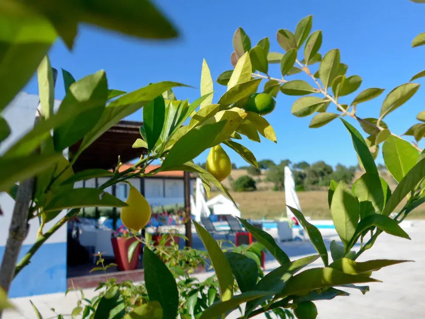 Monte da Cabeça Gorda