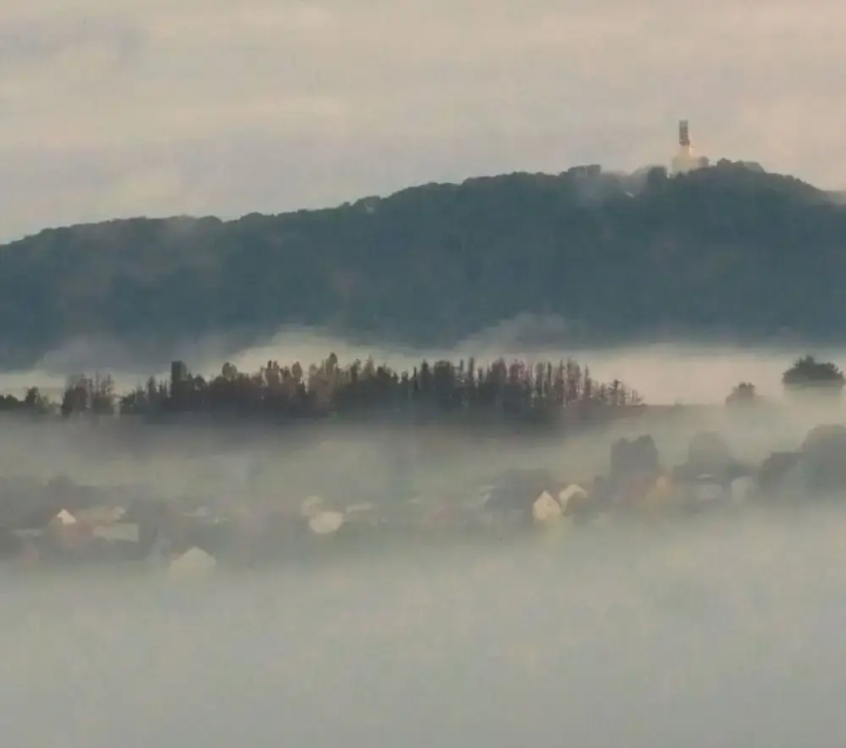 Holiday Apartment Sunflower