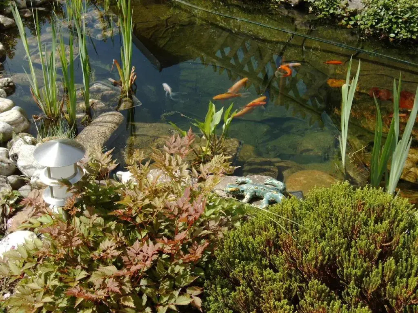 Arber Ferienwohnung Friedl