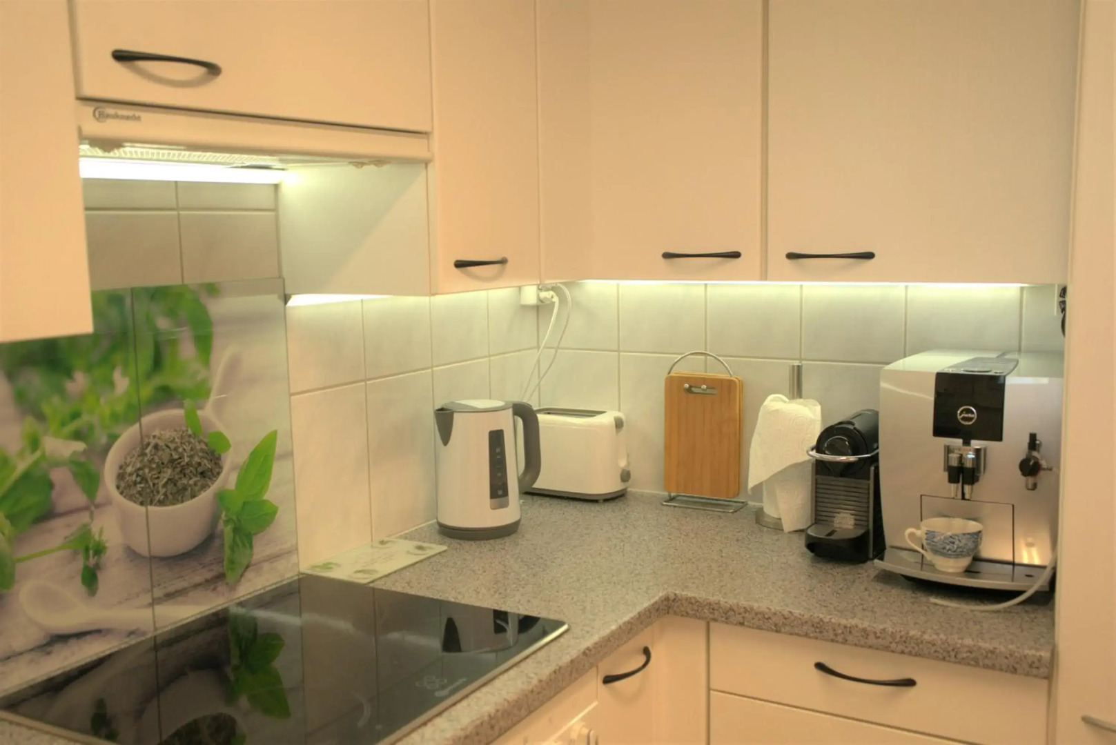 Cozy, Large, Modern, Apartment - in Basel