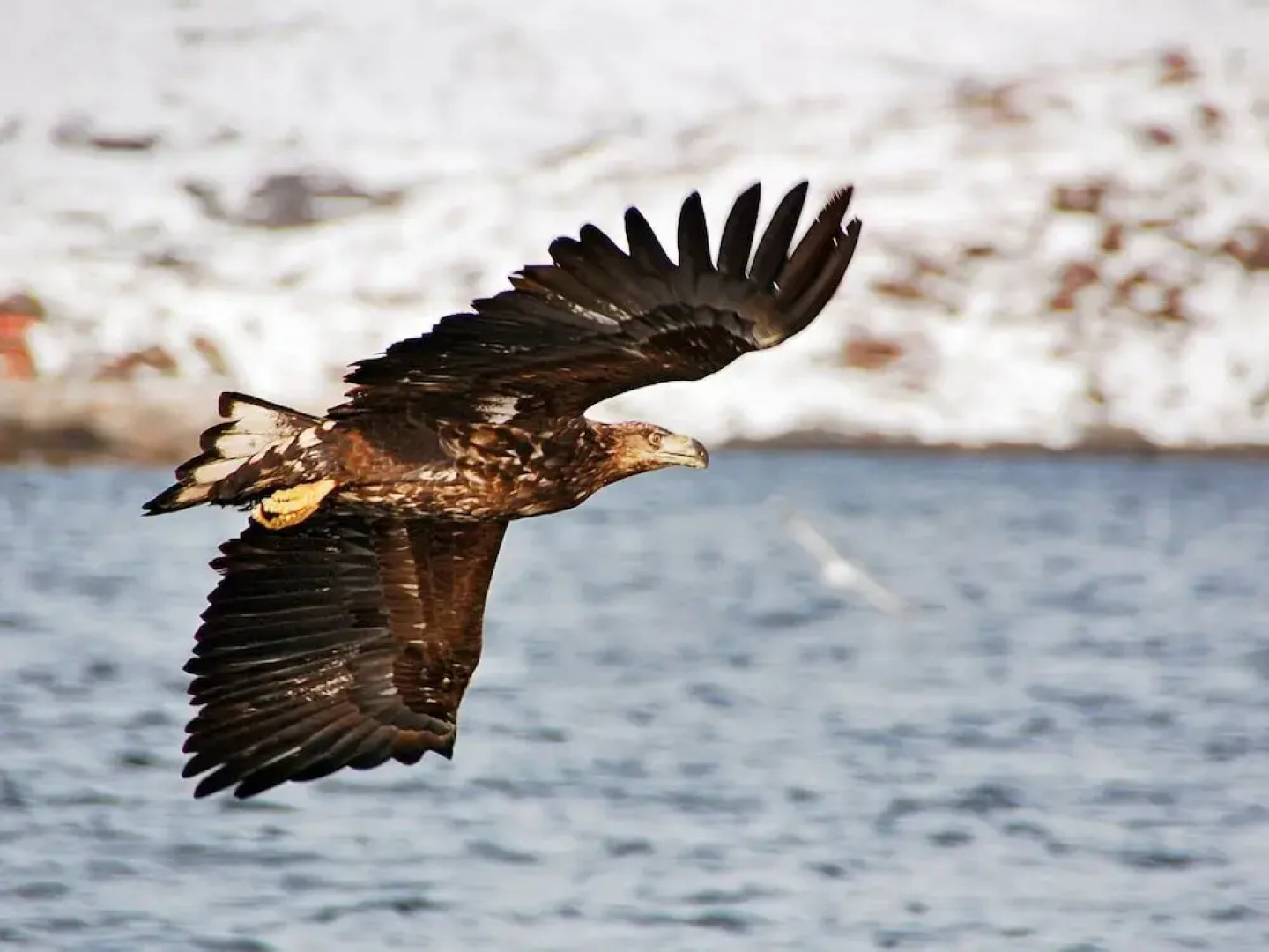 4 Person Holiday Home in Leknes