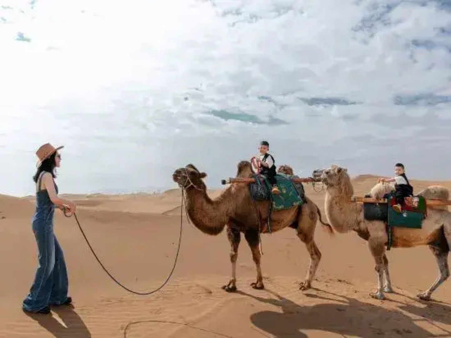 Zhongwei Shariwa Desert B&B