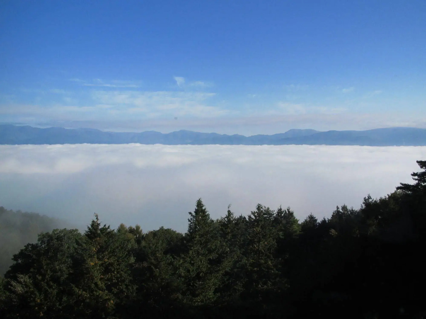 Suwako-no Mori Shikitei