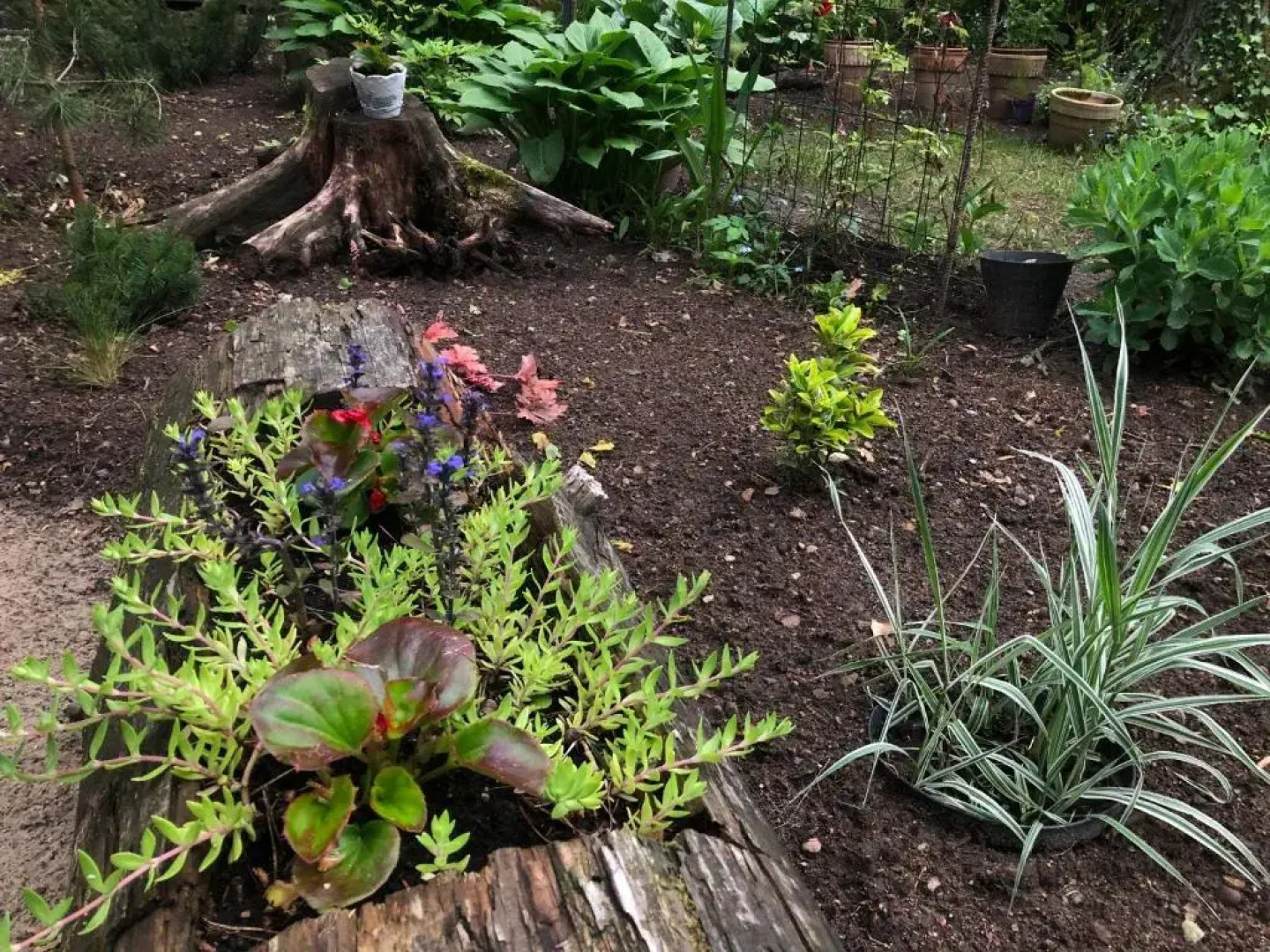 Letnisko SYMSAR 6, Drewniany domek letniskowy