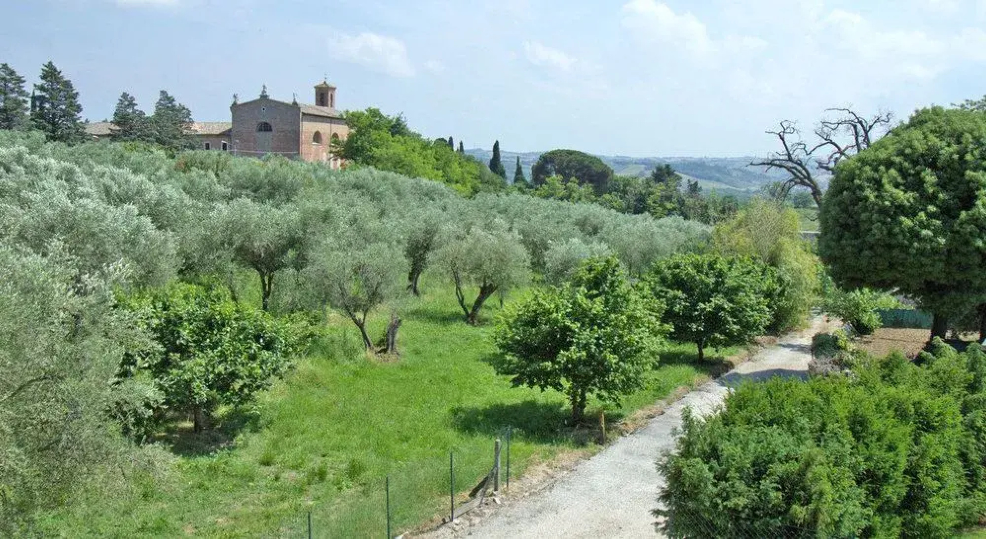 Da Adamo Osteria e Locanda
