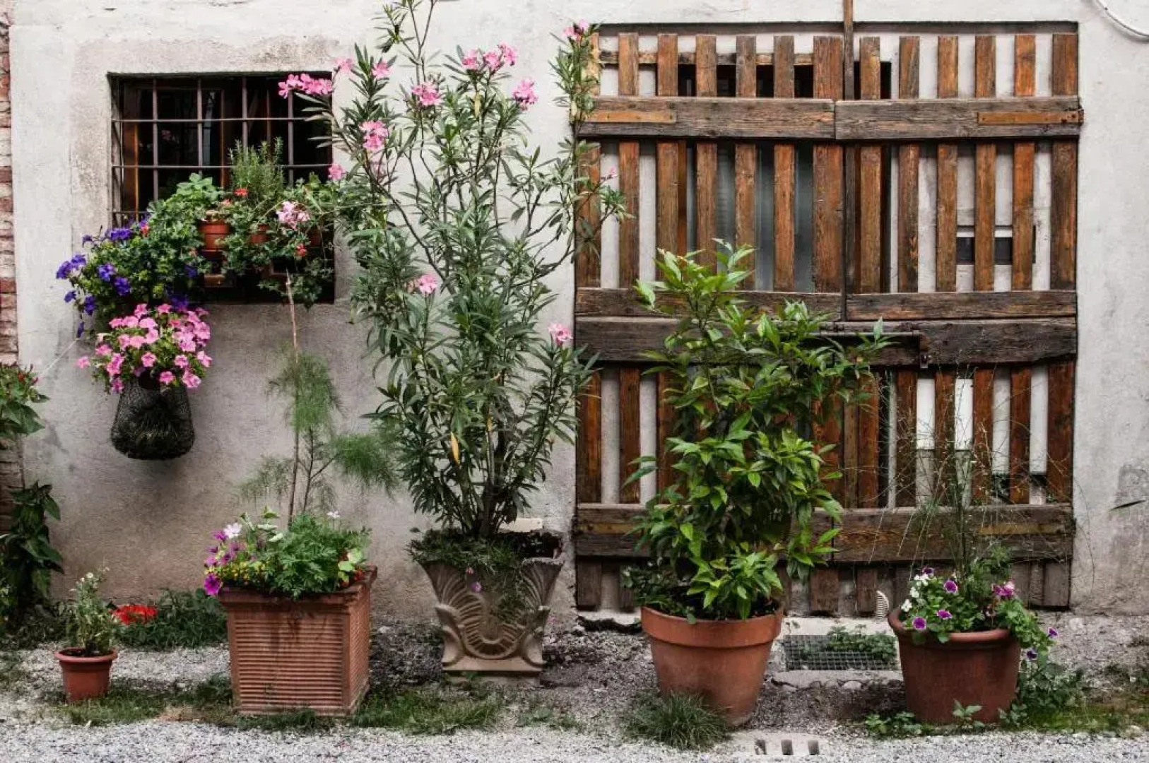 Buonocore Guesthouse