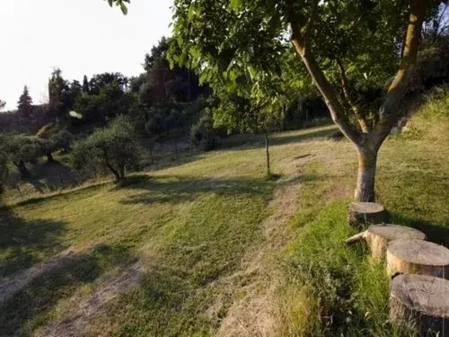 Alpaca Country House