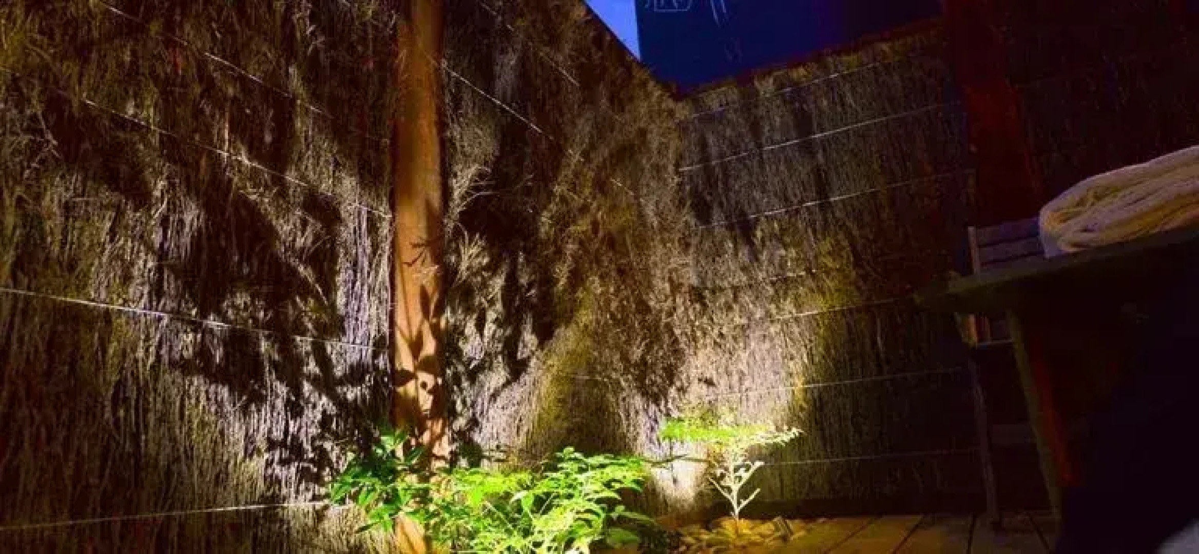 Whitesbeach Guesthouse