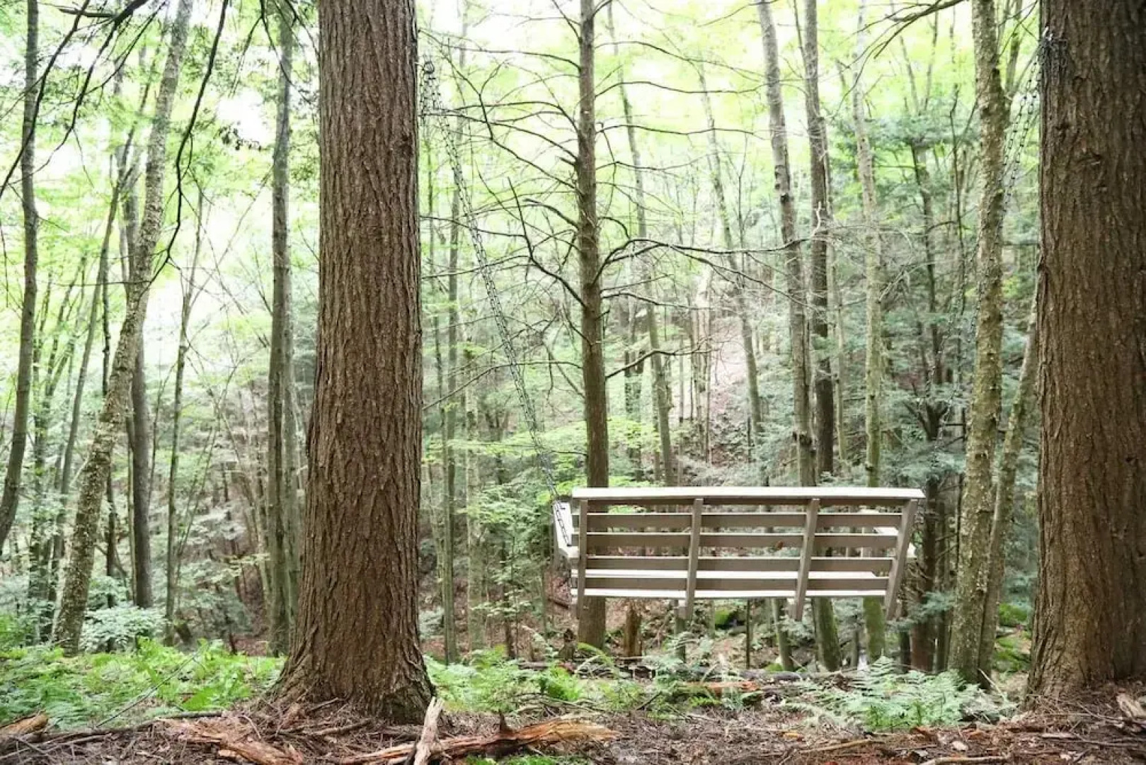 Tentrr - Fields of Dreams at Callicoon