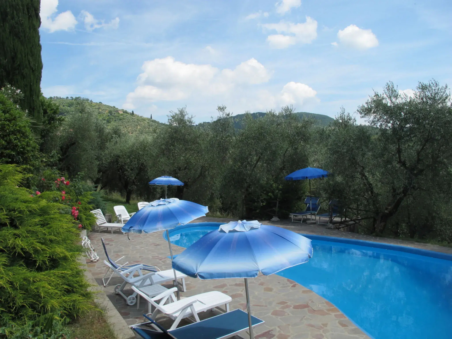 Tenuta San Lazzaro