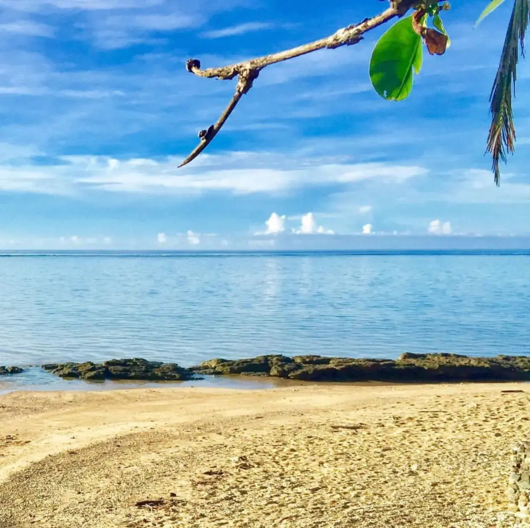 De Vos - The Private Residence