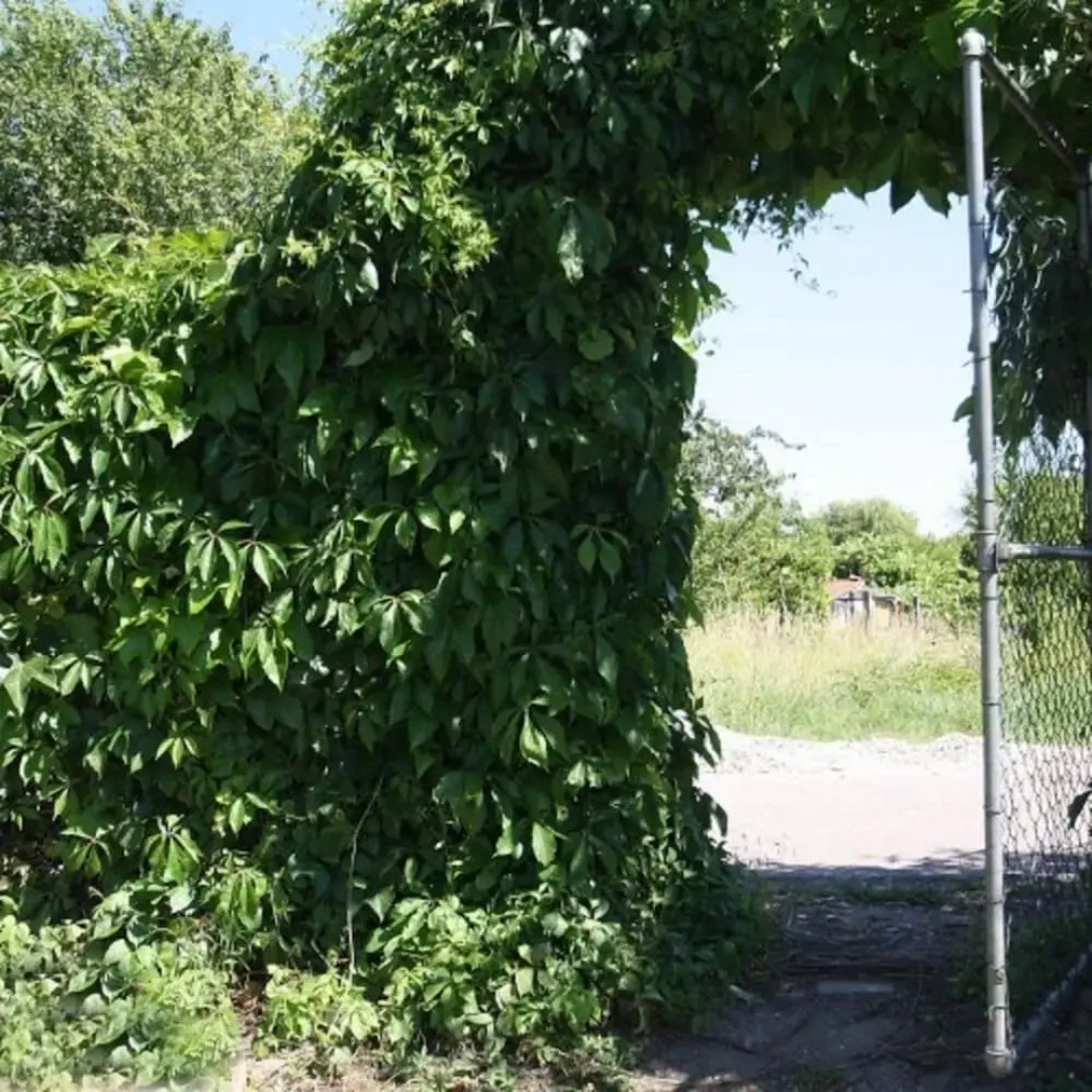 Schnuckliges Appartement am Seeufer