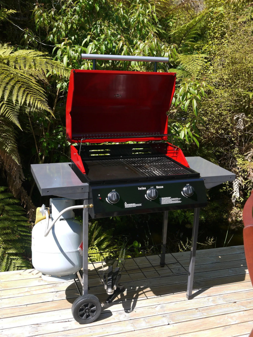 Franz Josef Treetops