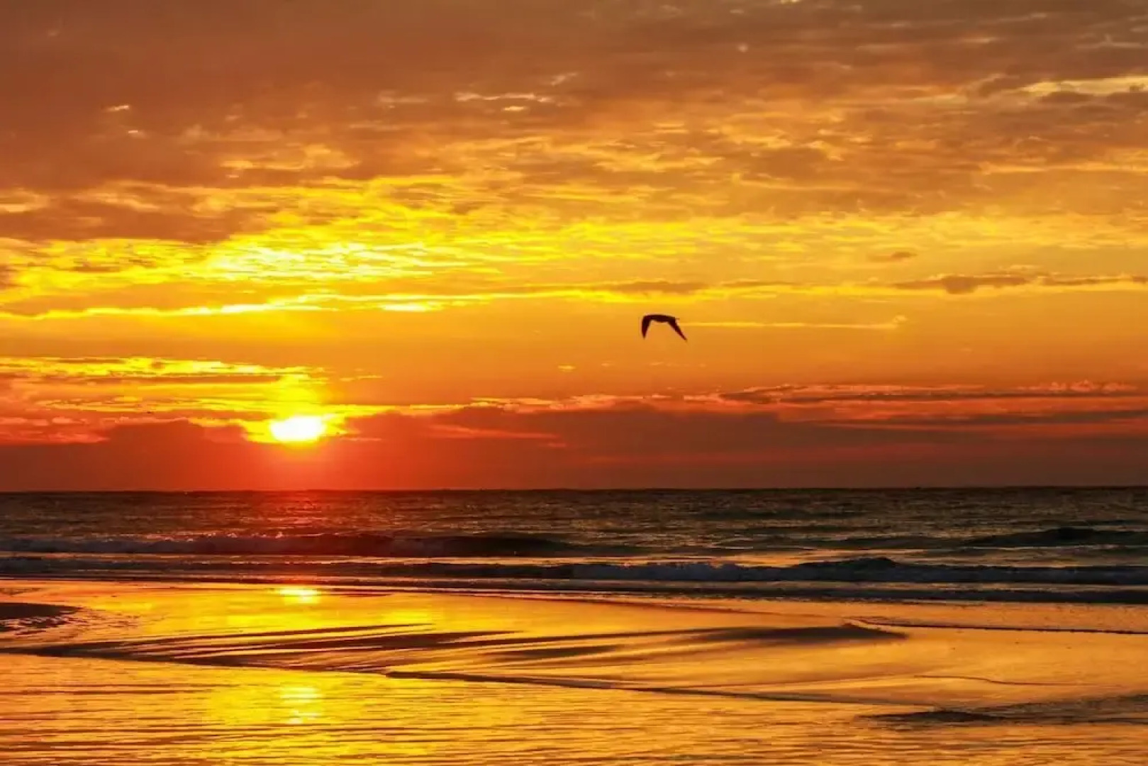 604 Majestic Beach Tower I