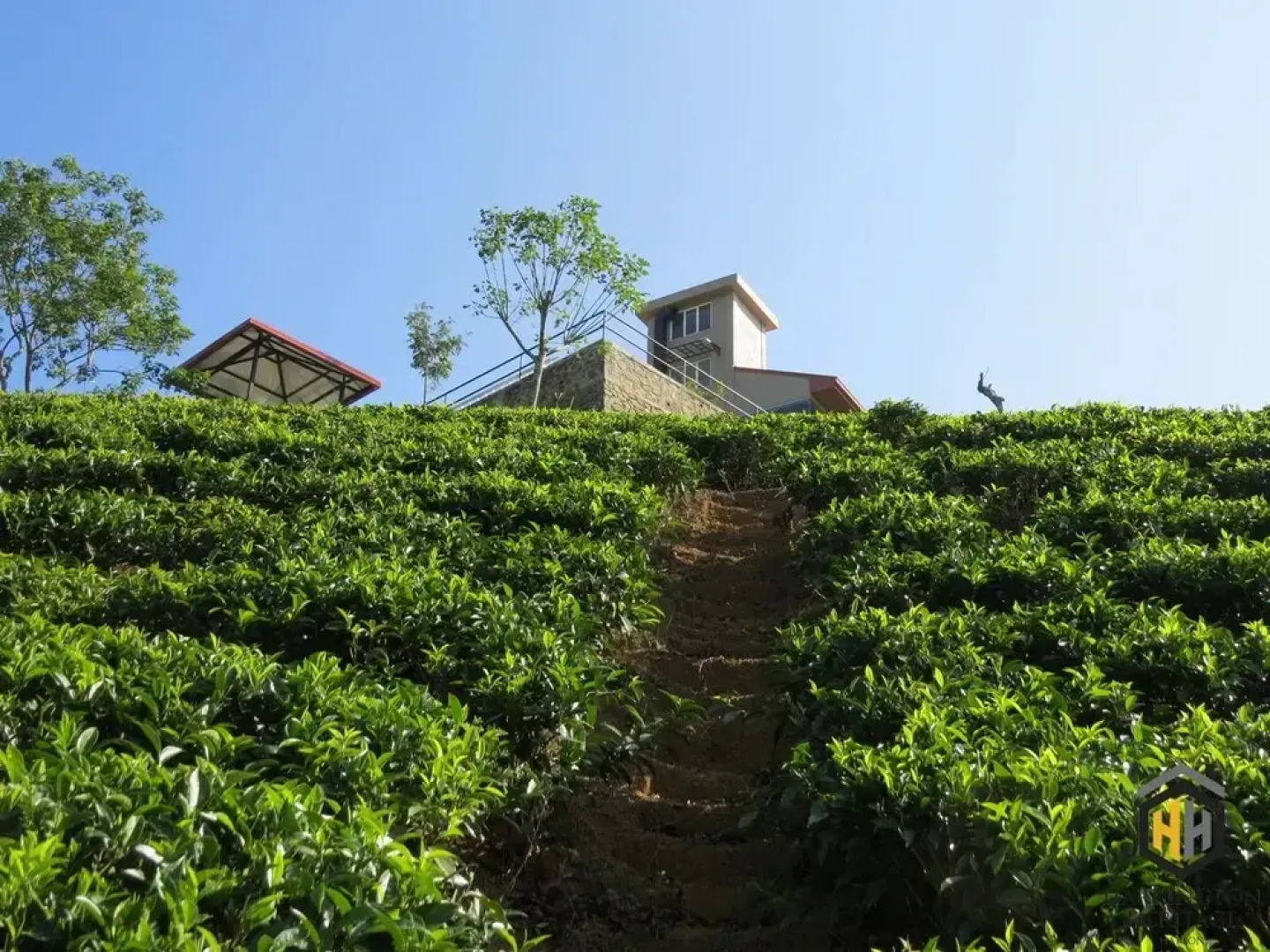 The Harrington Heritage Bungalow